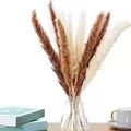 Bouquet décoratif d’herbes de la pampa