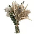 Bouquet décoratif d’herbes de la pampa