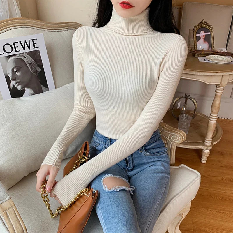 Pull en tricot à col roulé Annabelle