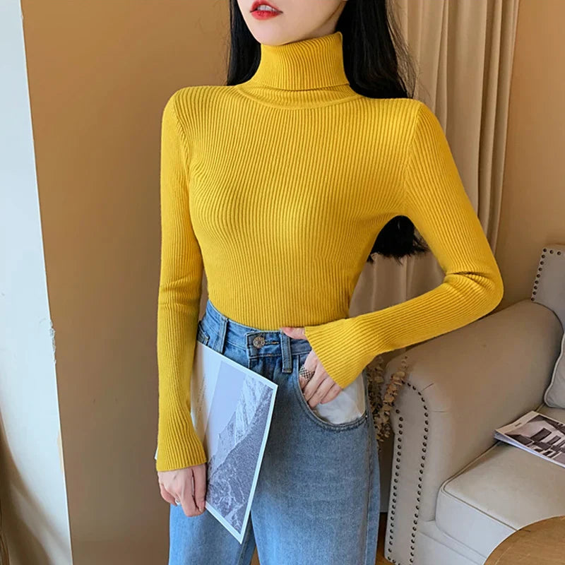 Pull en tricot à col roulé Annabelle