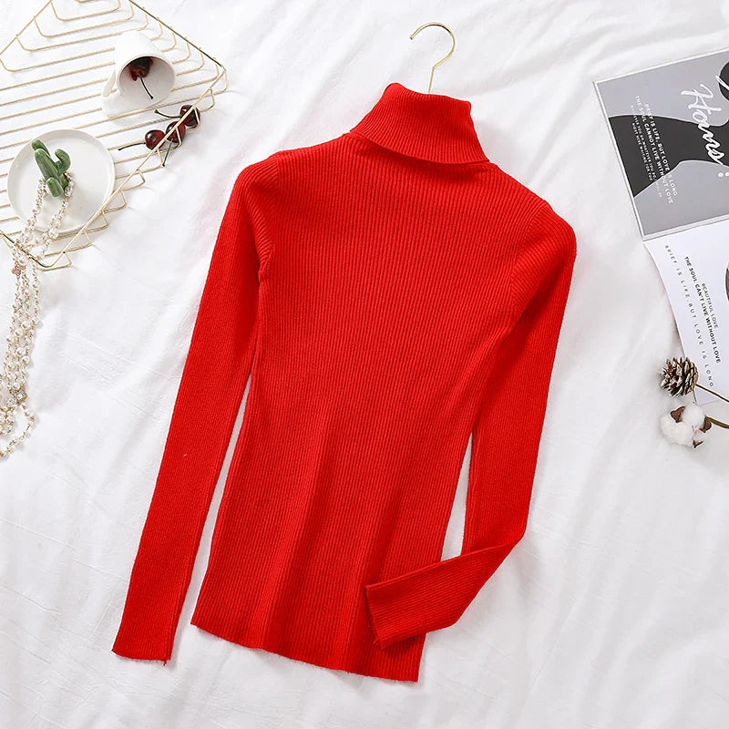 Pull en tricot à col roulé Annabelle