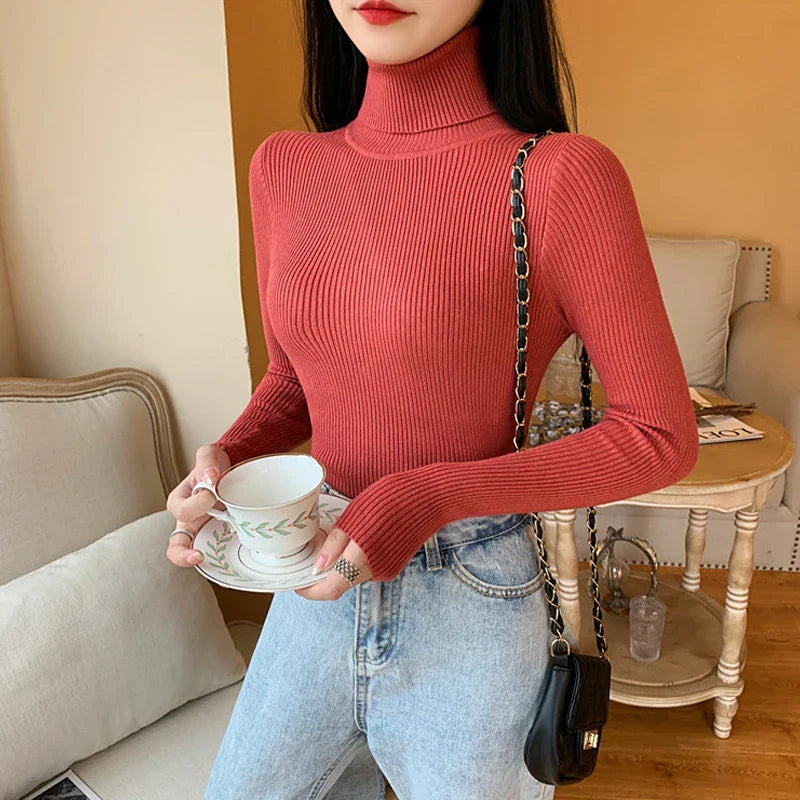 Pull en tricot à col roulé Annabelle